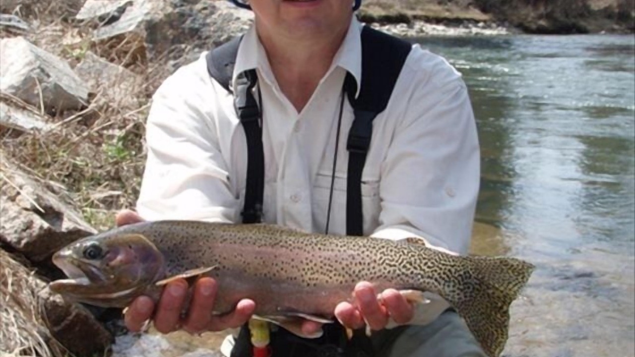 Photo of Others in Conner