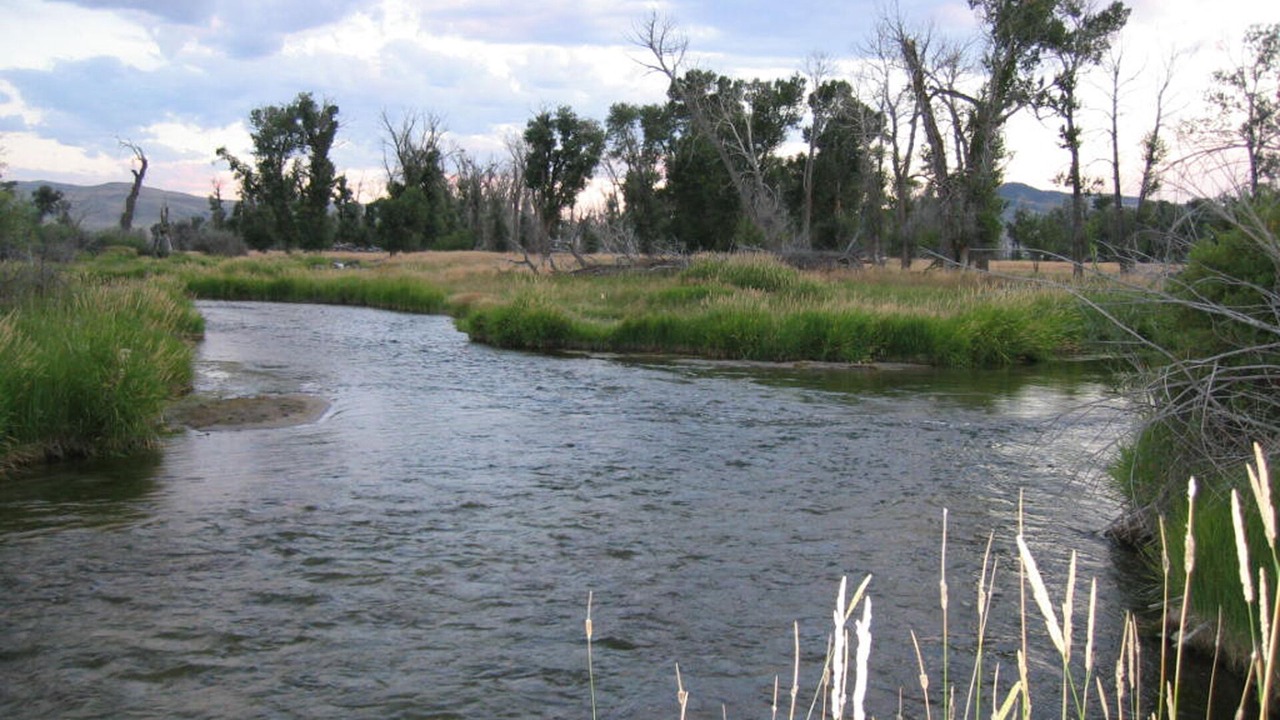 Photo of Others in Dillon
