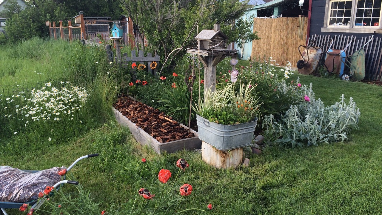 Photo of Outdoor in Bozeman