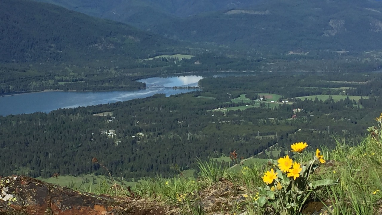 Photo of Others in Trout Creek