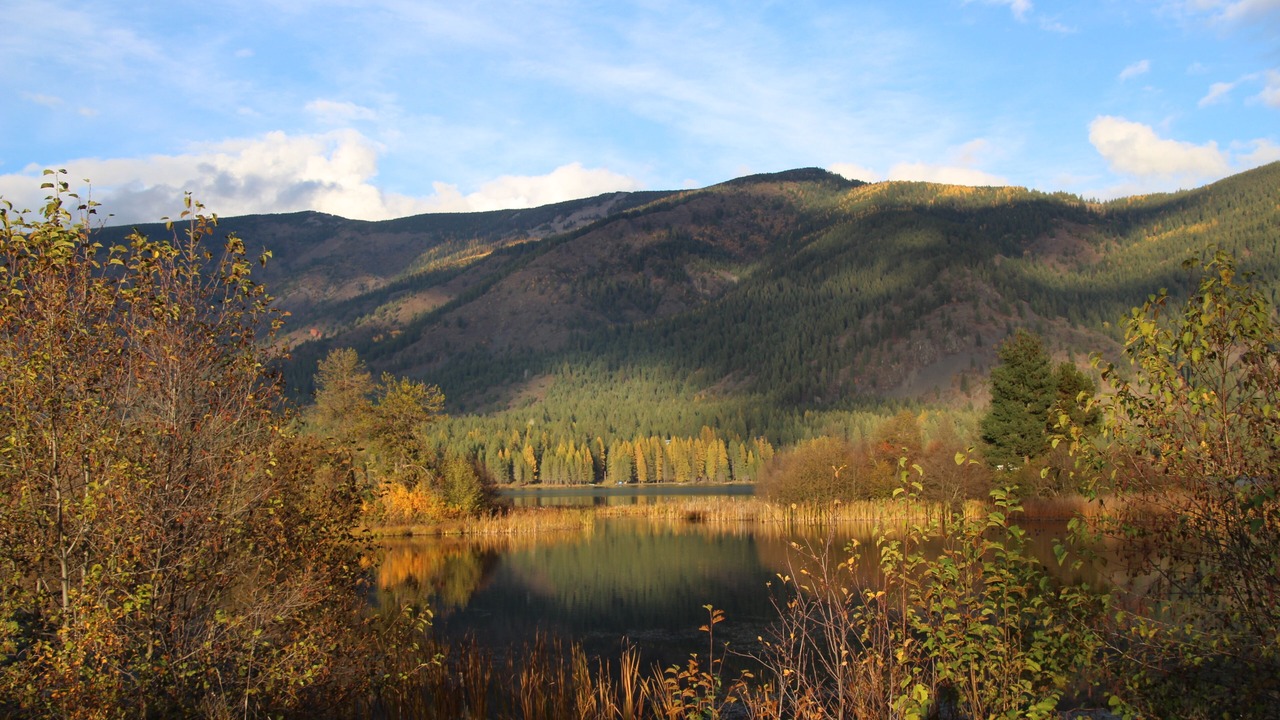 Photo of Others in Trout Creek