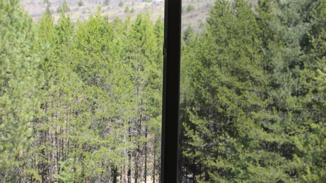 Photo of Others in Trout Creek