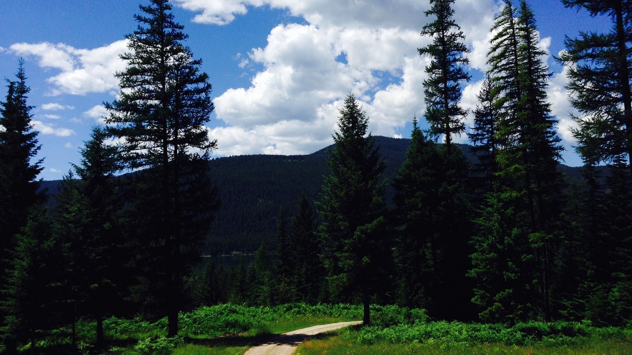 Photo of Outdoor in Trout Creek
