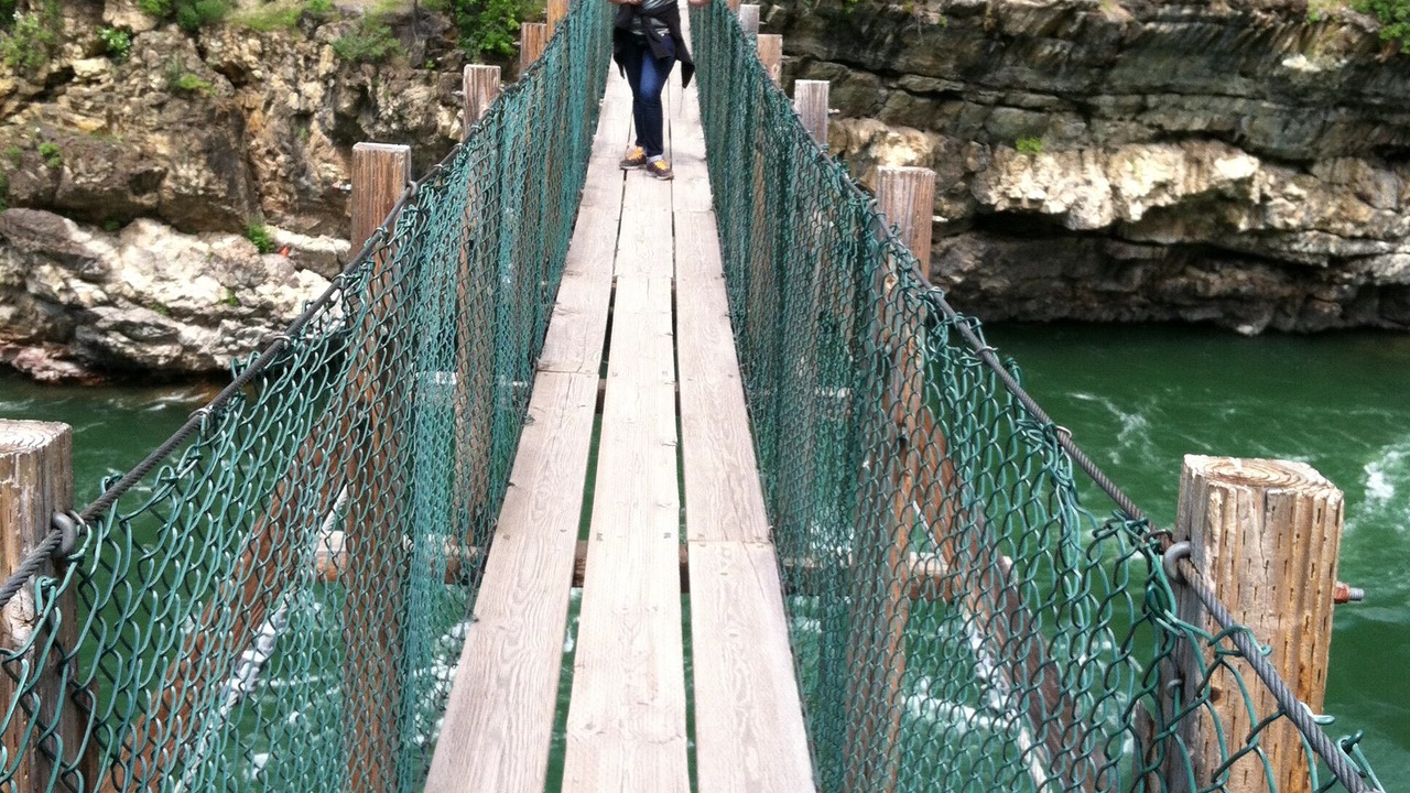 Photo of Others in Trout Creek