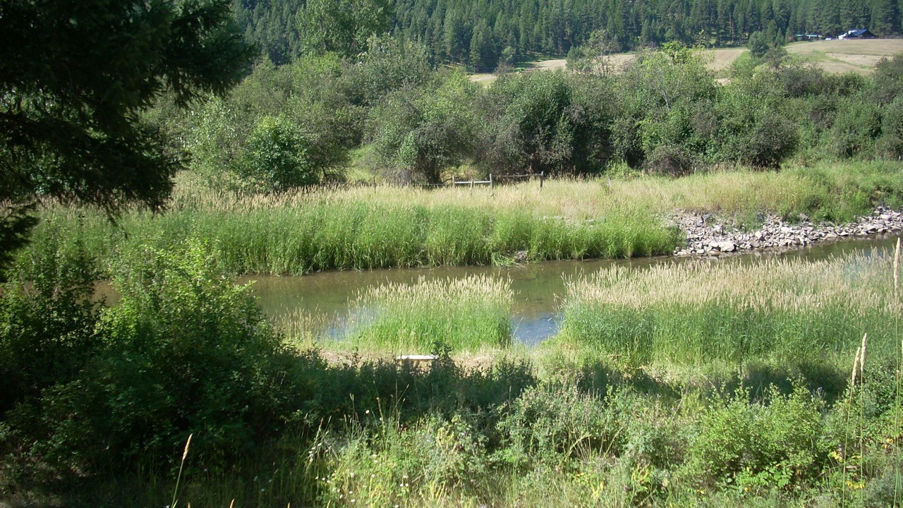 Photo of Outdoor in Huson