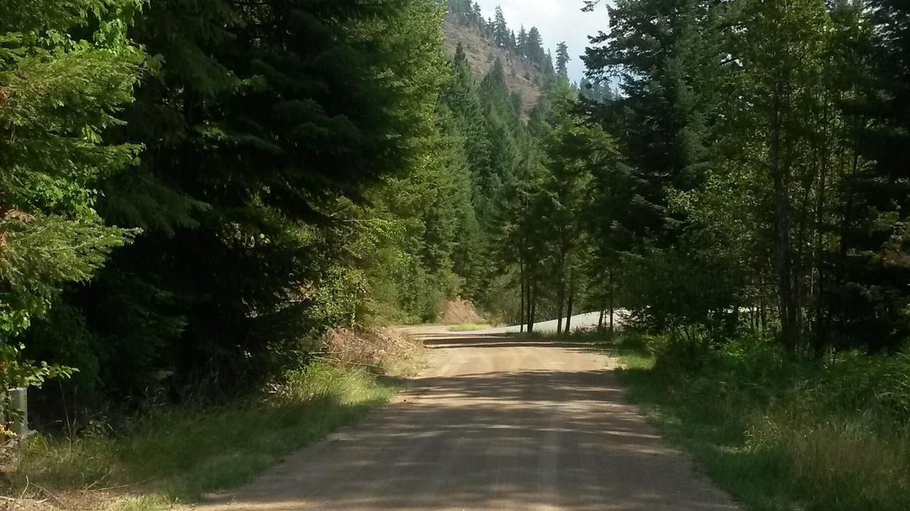 Photo of Others in Trout Creek