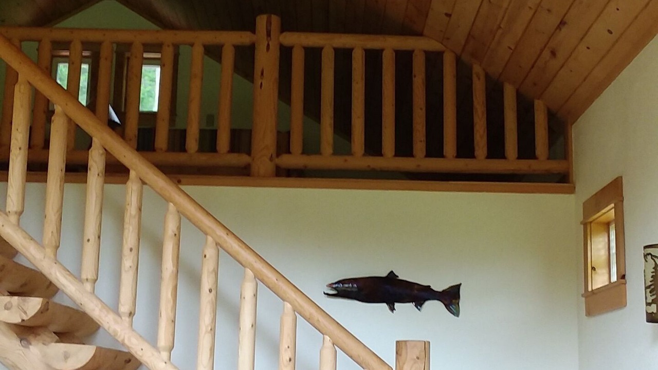 Photo of Others in Trout Creek