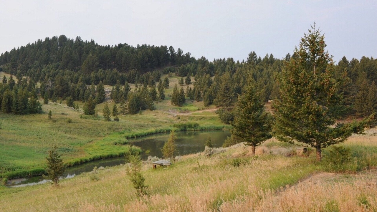 Photo of Outdoor in Wilsall