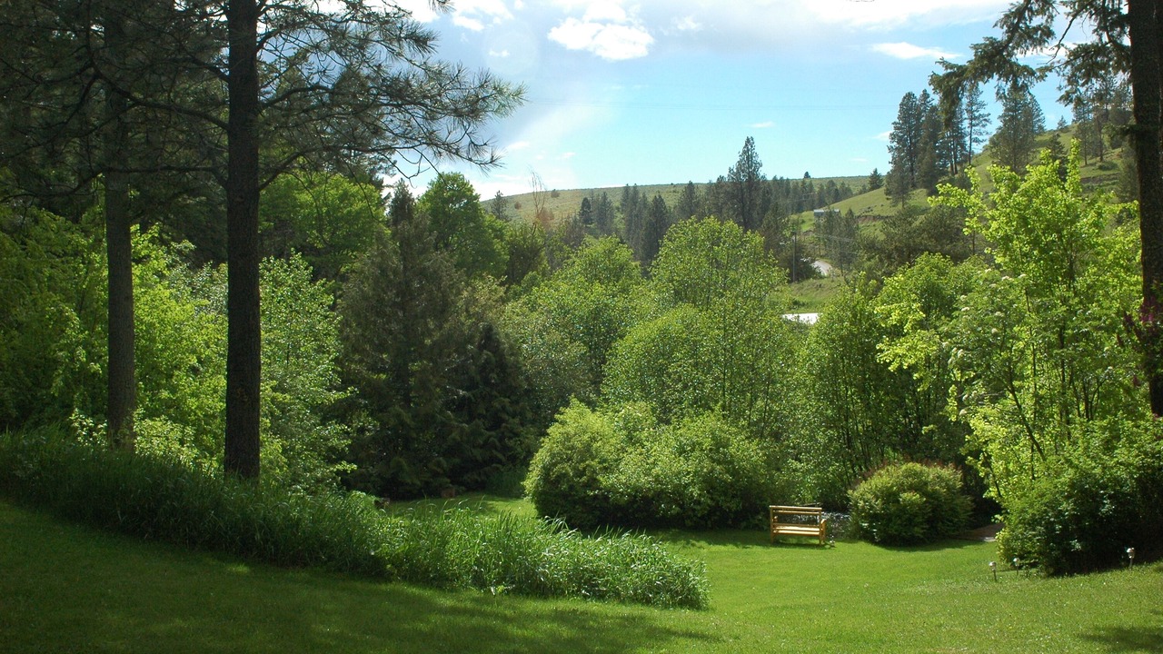 Photo of Outdoor in Missoula