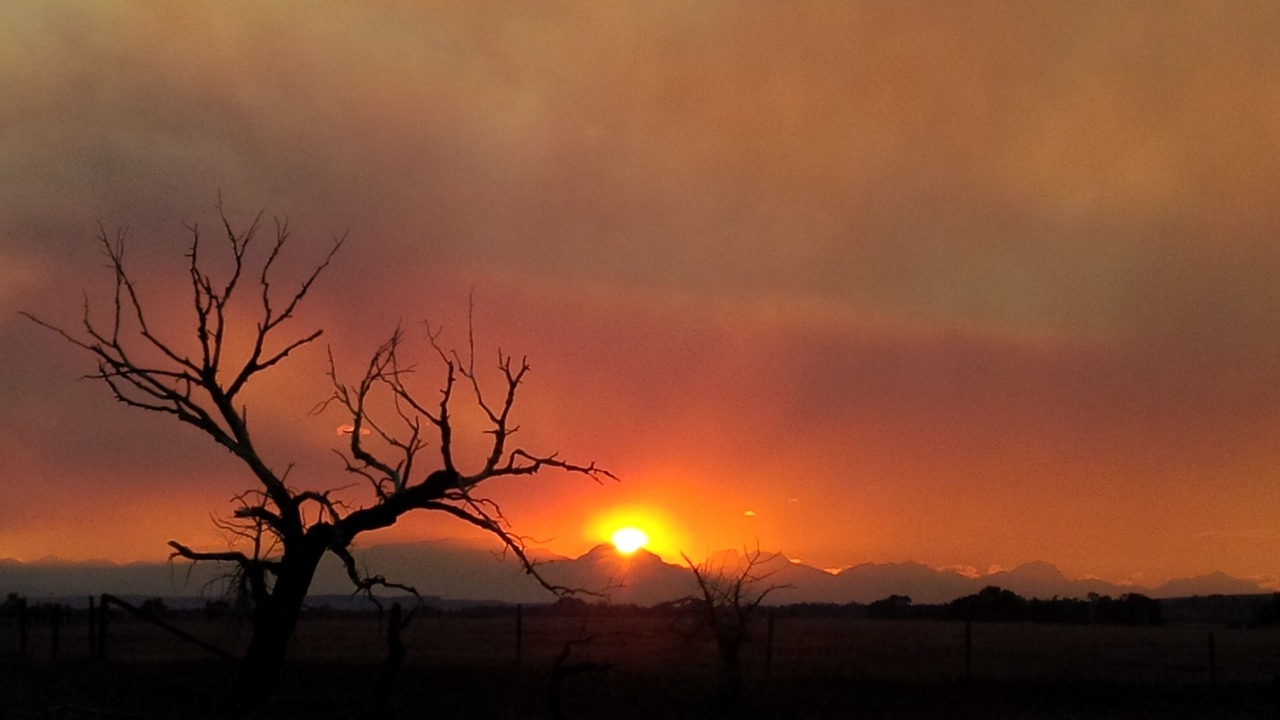 Photo of Others in Choteau