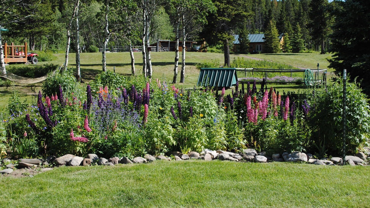 Photo of Others in East Glacier Park