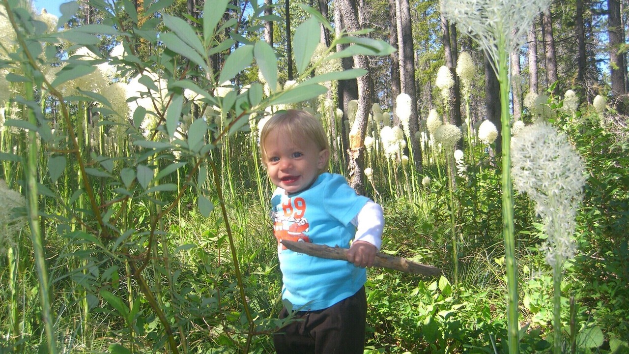 Photo of Others in East Glacier Park