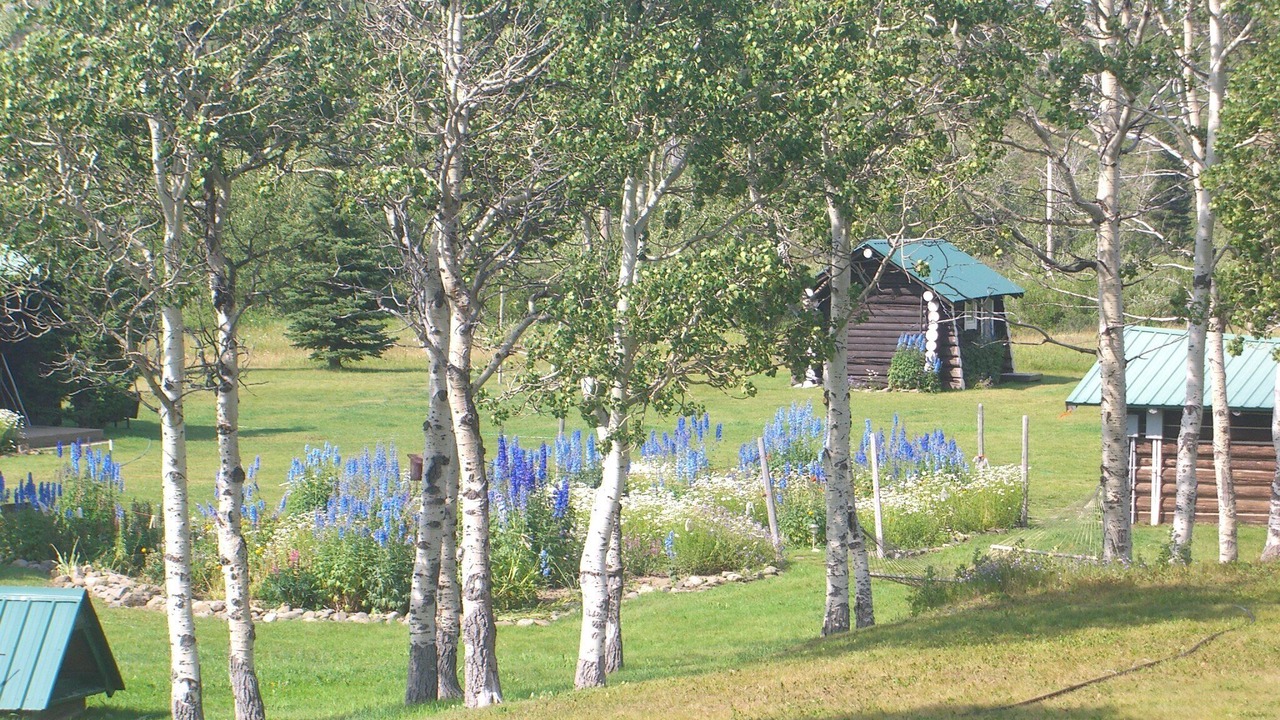 Photo of Others in East Glacier Park