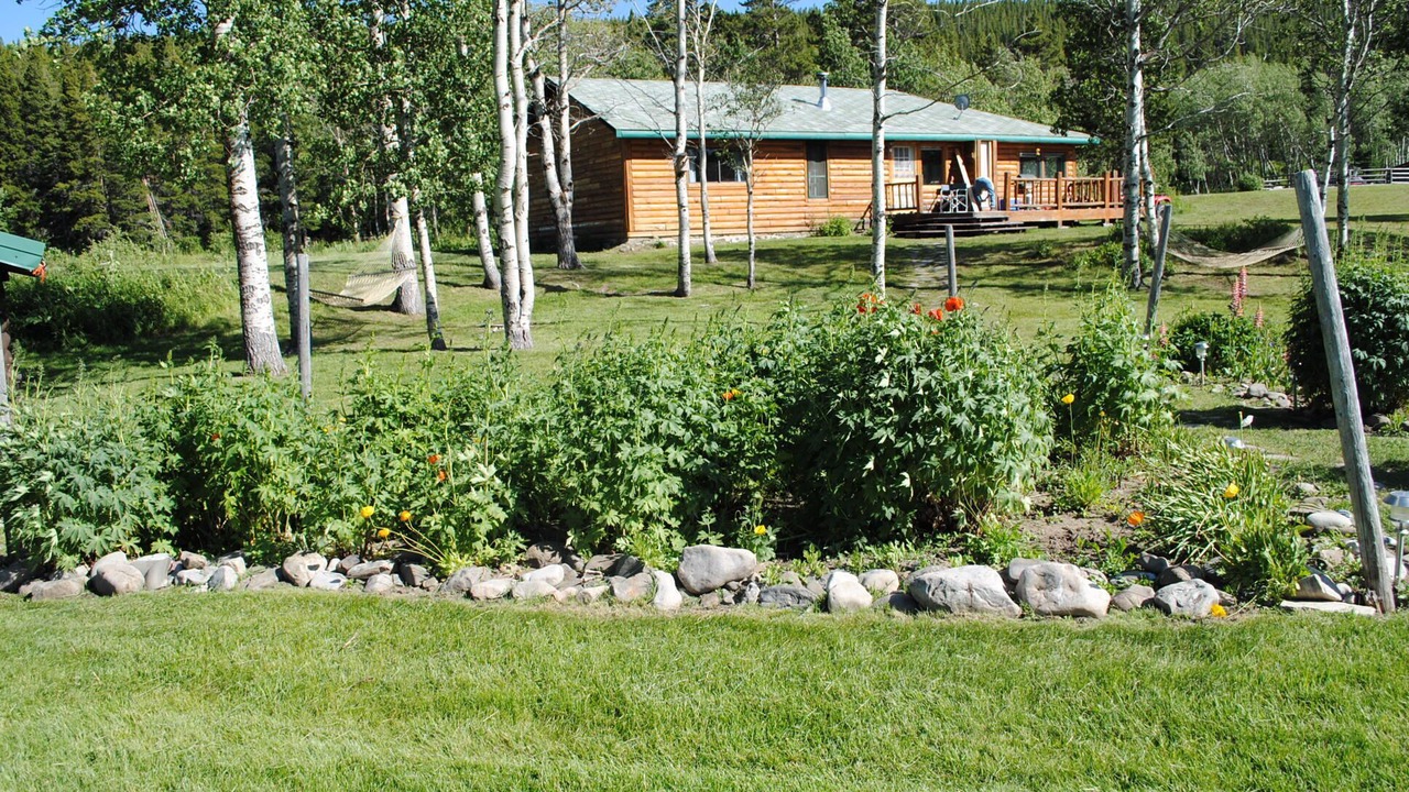Photo of Others in East Glacier Park