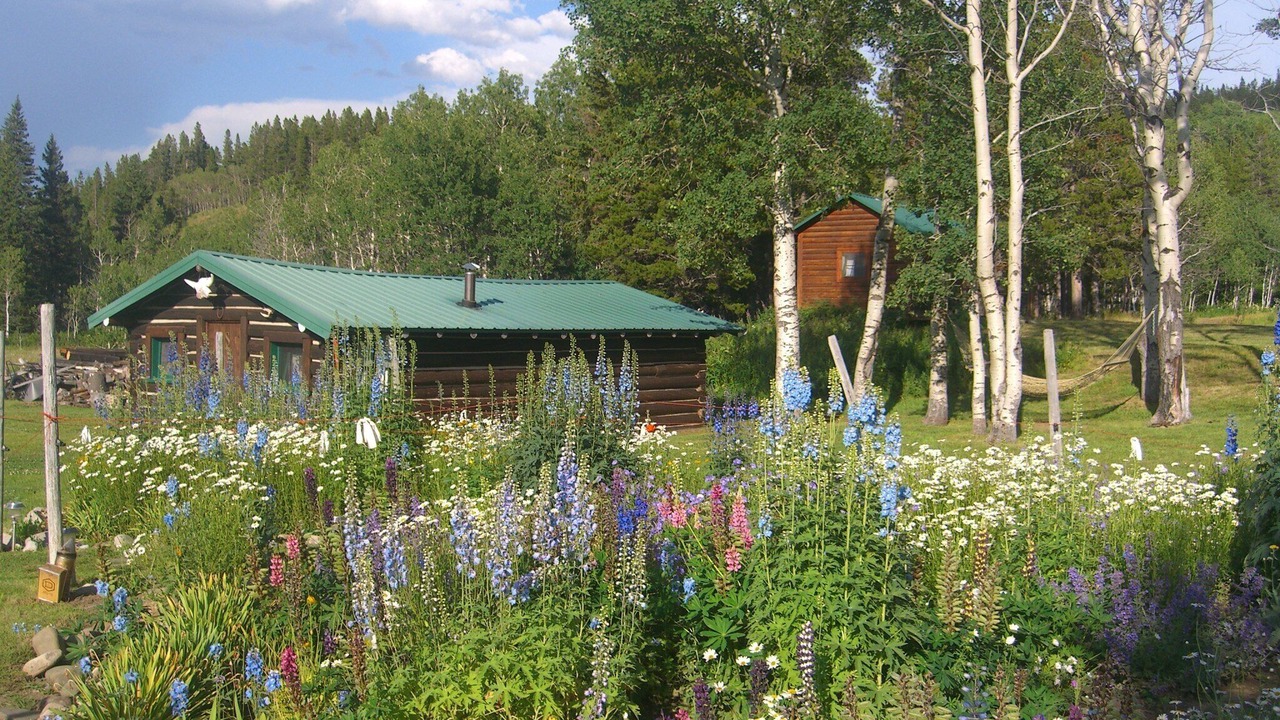Photo of Others in East Glacier Park