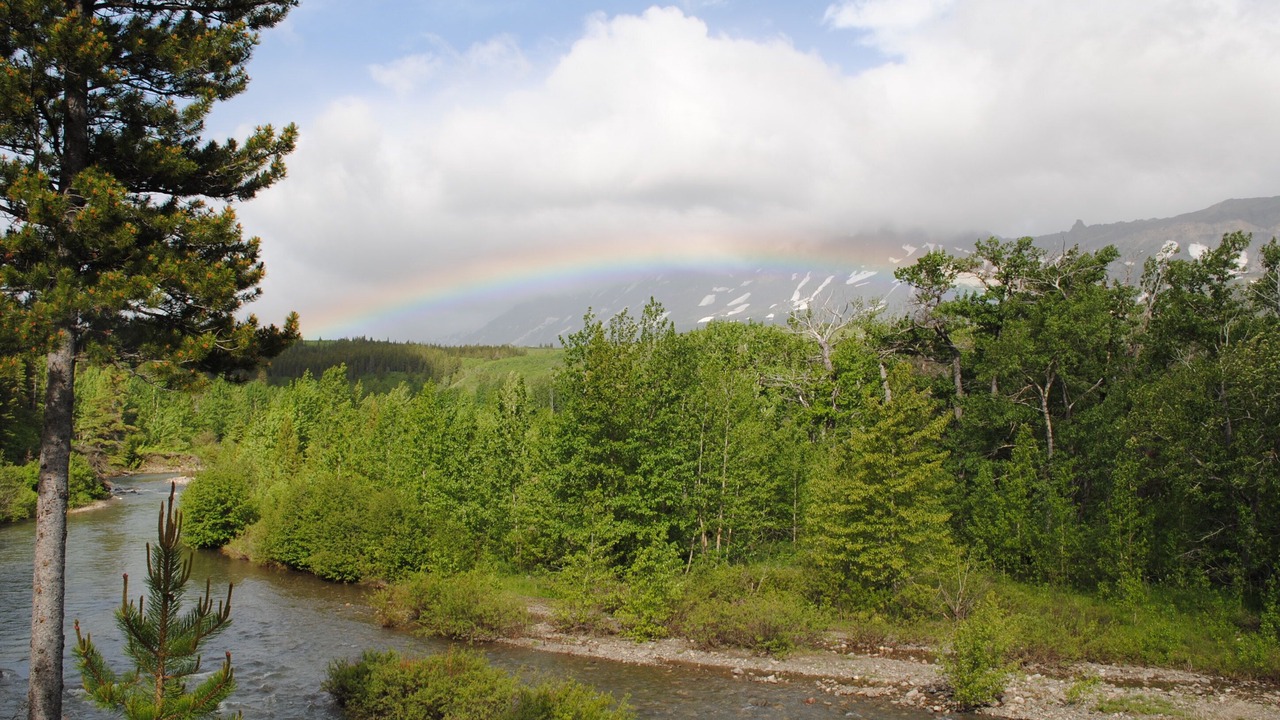 Photo of Others in East Glacier Park