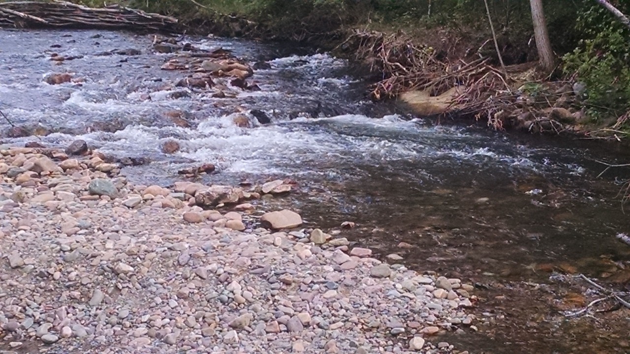 Photo of Others in Lower Rattlesnake