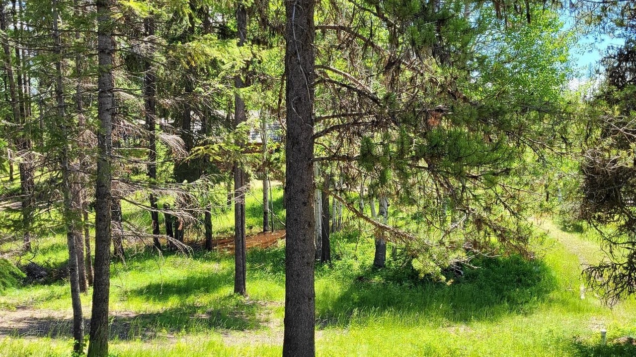 Photo of Outdoor in Condon