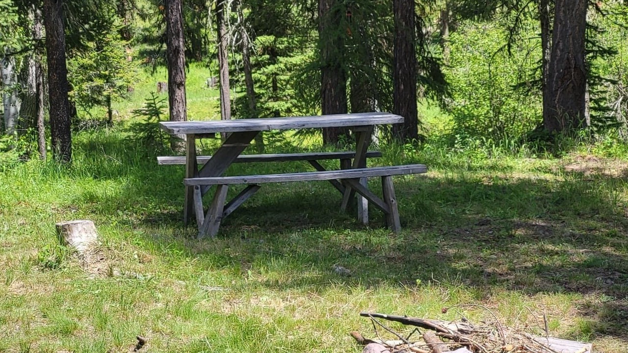 Photo of Outdoor in Condon