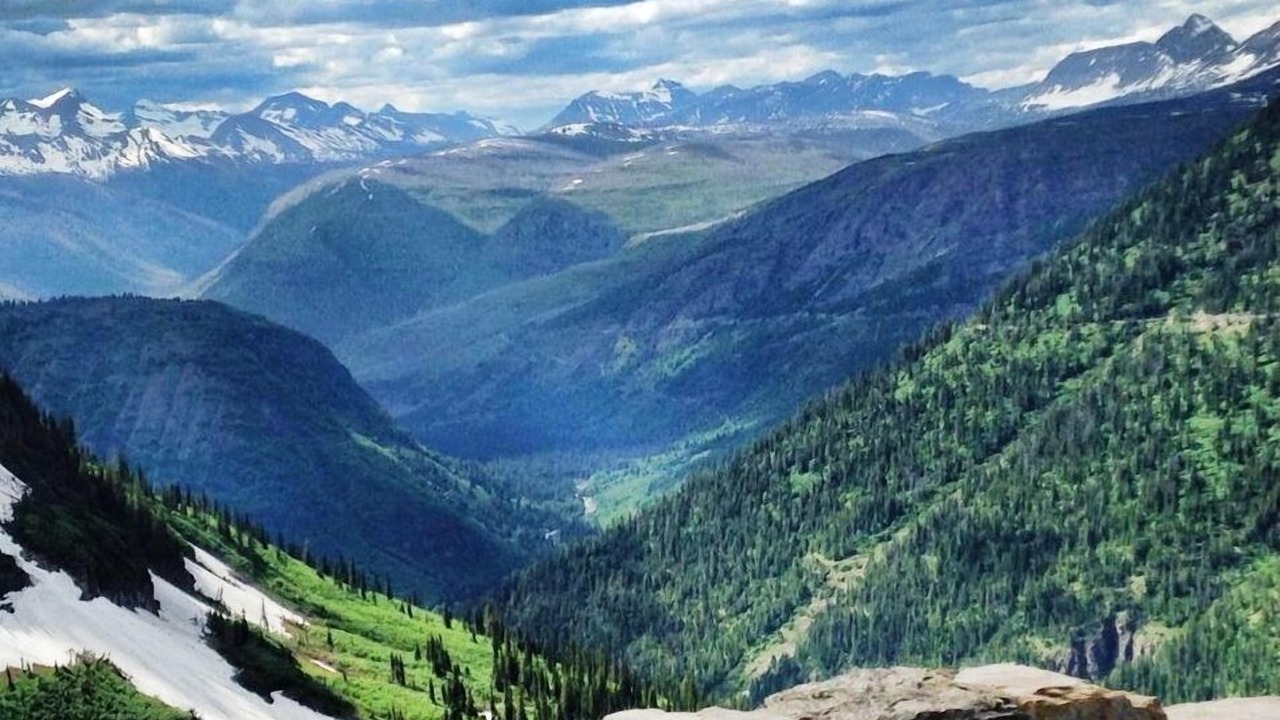 Photo of Others in West Glacier