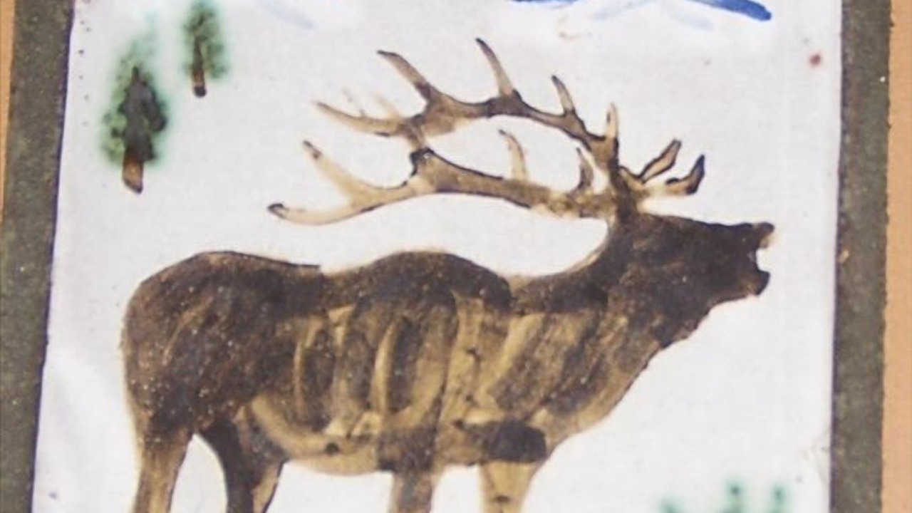 Photo of Others in Livingston