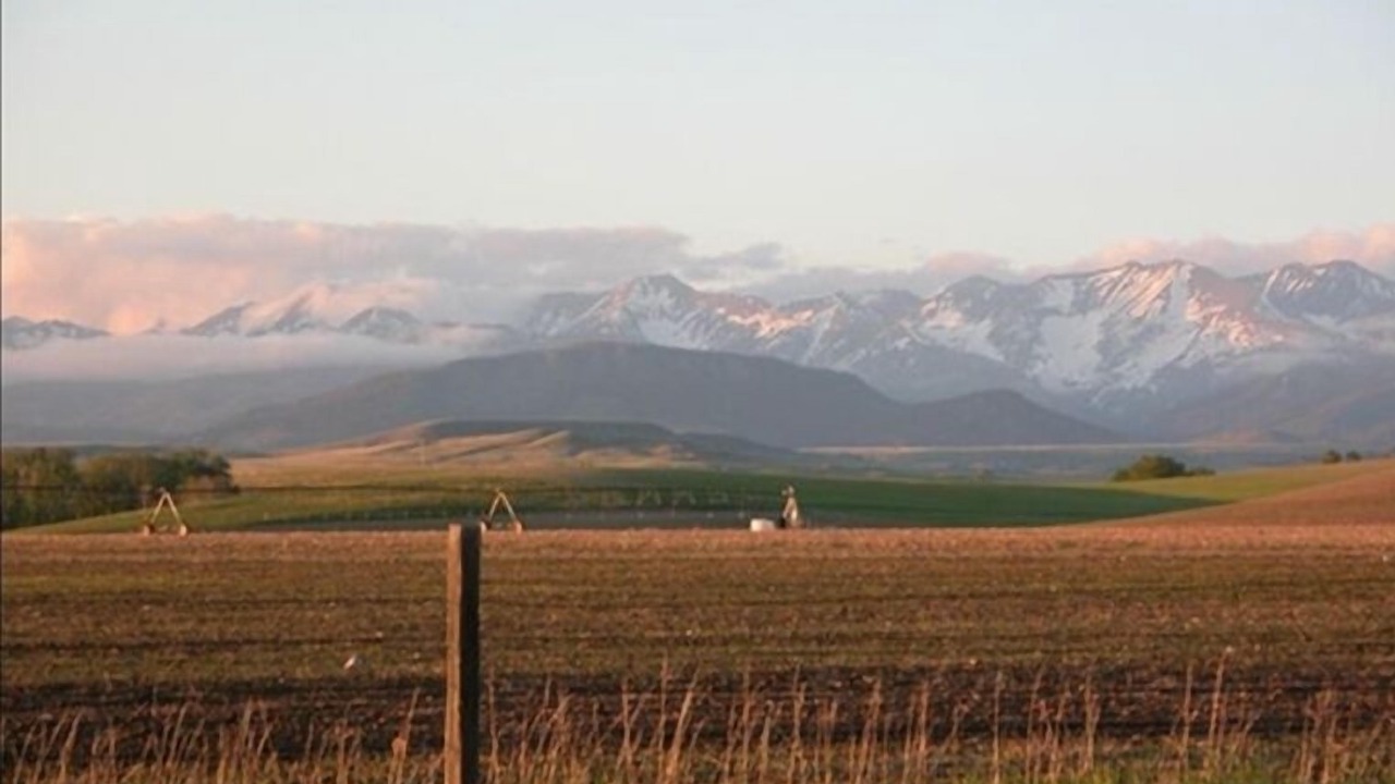 Photo of Outdoor in Livingston