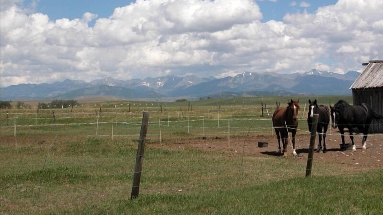 Photo of Outdoor in Livingston