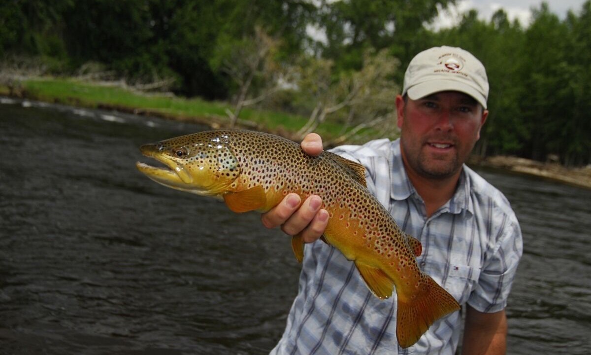 Photo of Others in Twin Bridges