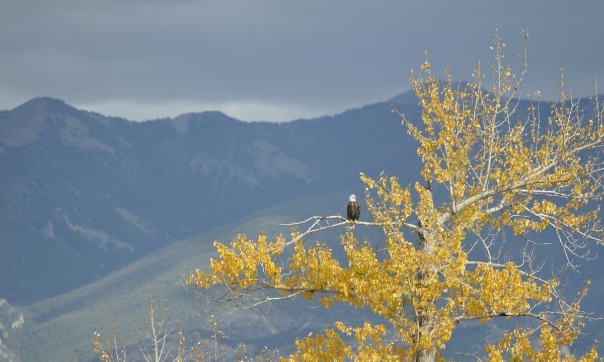 Photo of Others in Twin Bridges