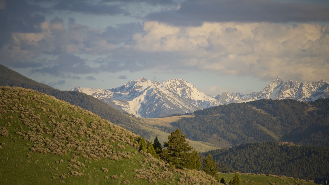 Photo of Others in Bozeman