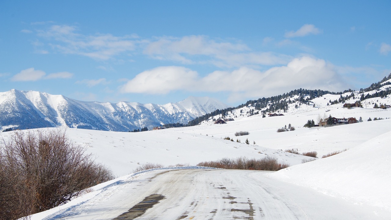 Photo of Others in Bozeman