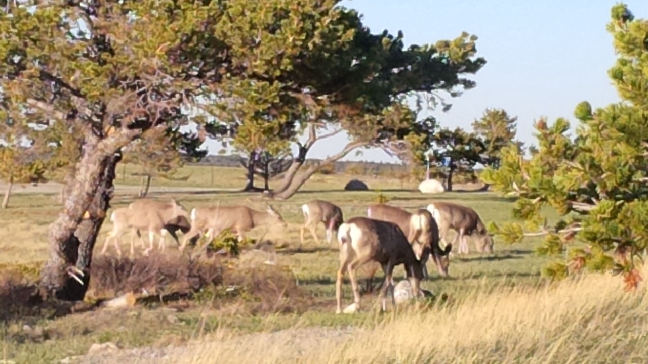 Photo of Others in Choteau