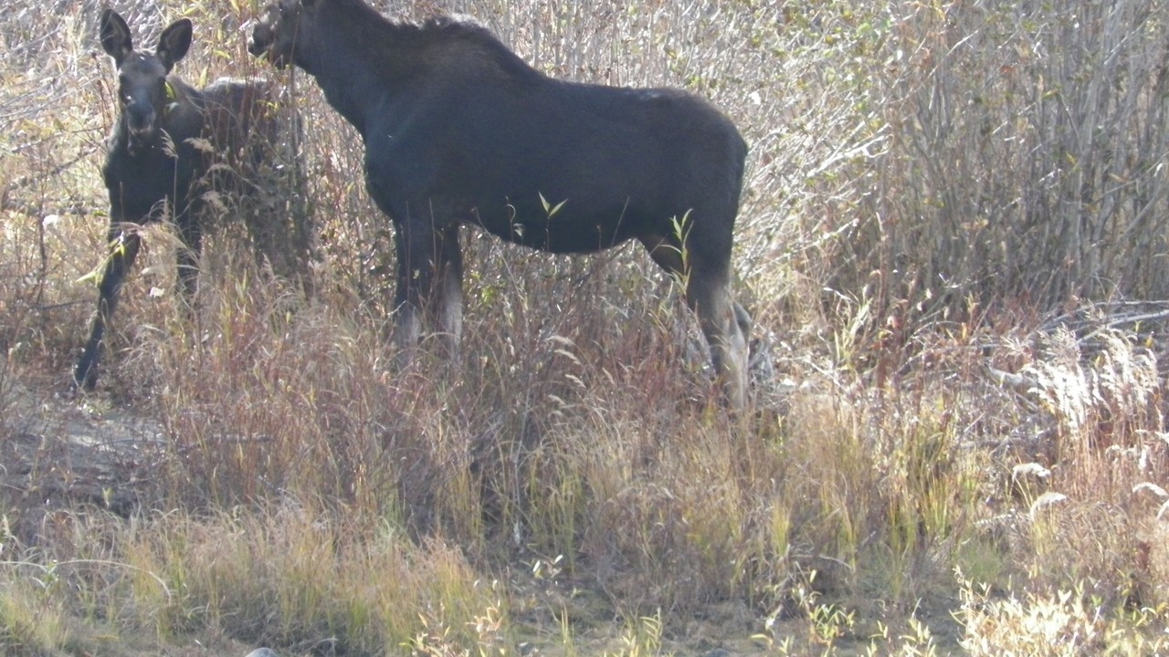 Photo of Others in Red Lodge