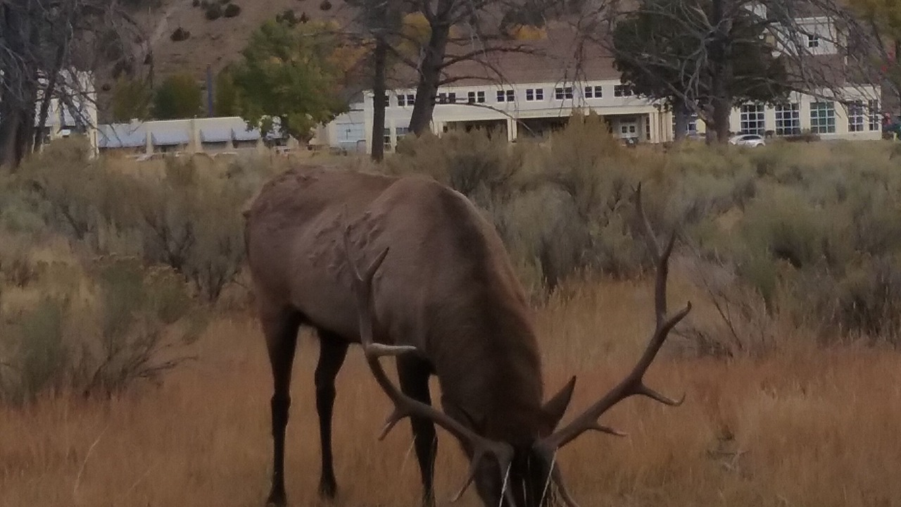 Photo of Others in Red Lodge