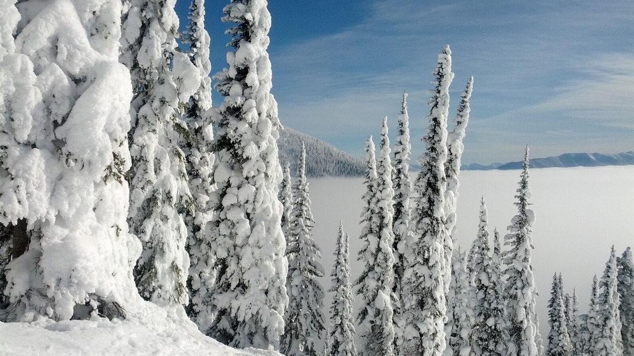 Photo of Others in Whitefish