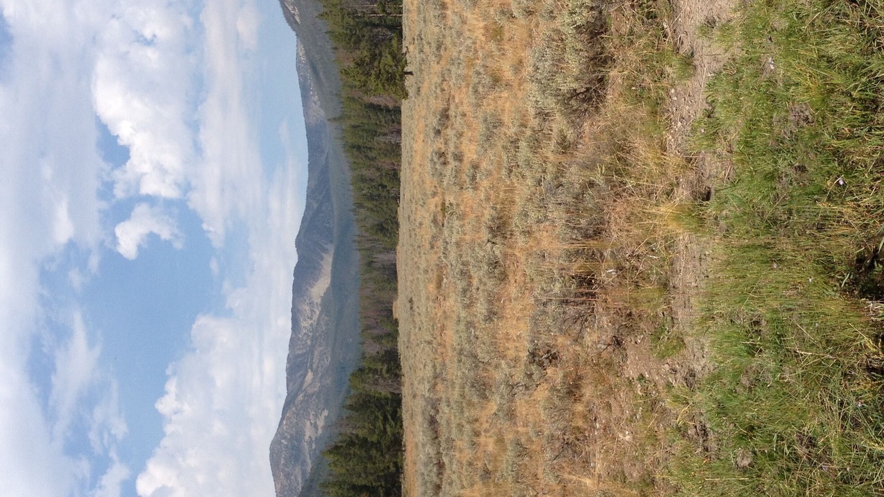 Photo of Outdoor in Jackson