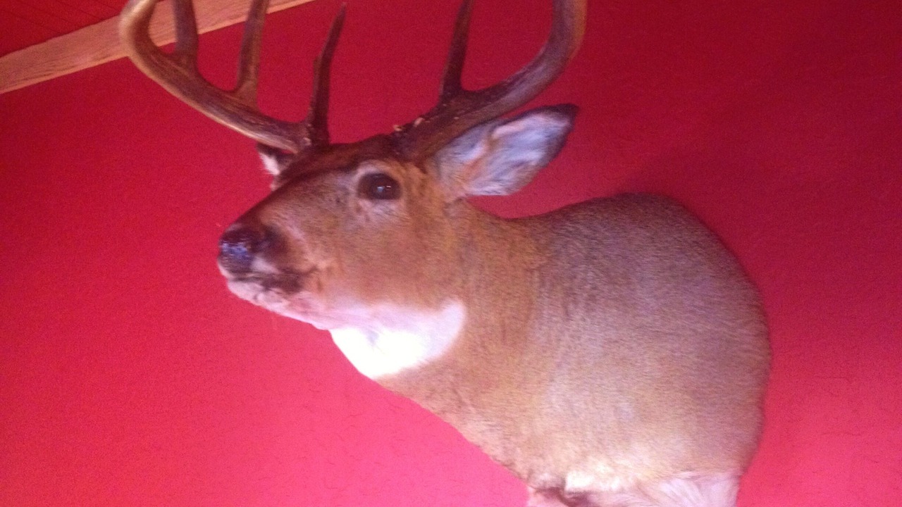 Photo of Others in Jackson