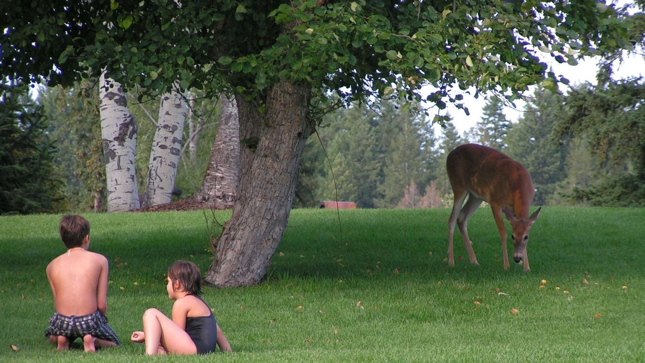 Photo of Others in Whitefish