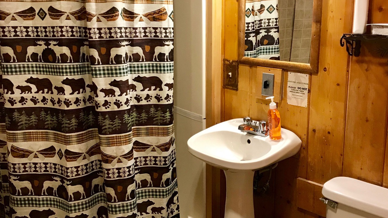 Photo of Bathroom in Seeley Lake
