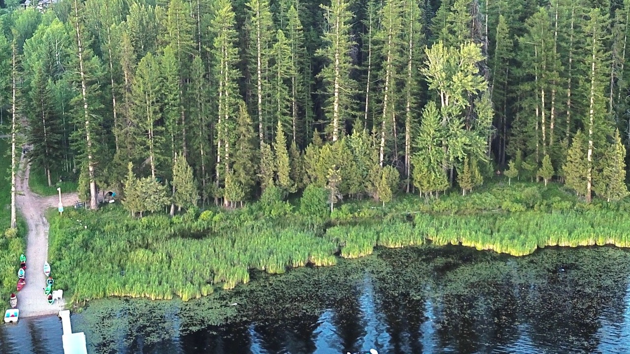 Photo of Others in Seeley Lake