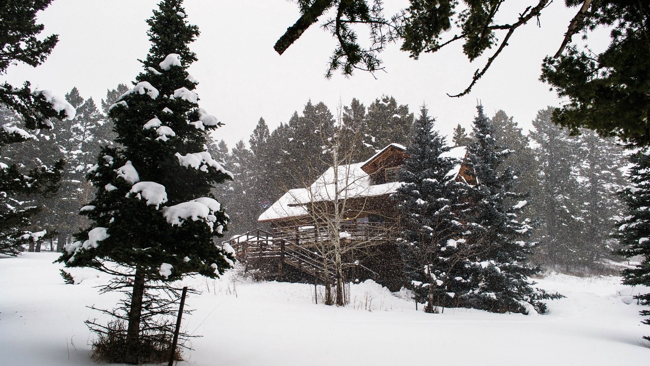 Photo of Others in Bozeman