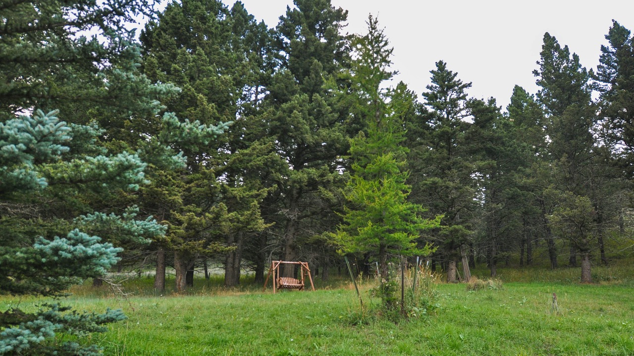 Photo of Outdoor in Bozeman