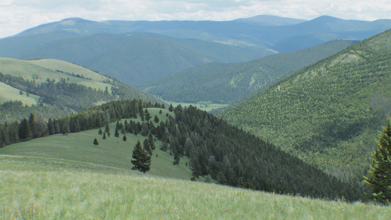 Photo of Others in Canyon Creek