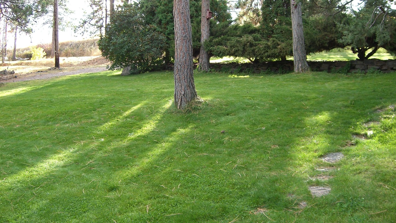 Photo of Others in Proctor