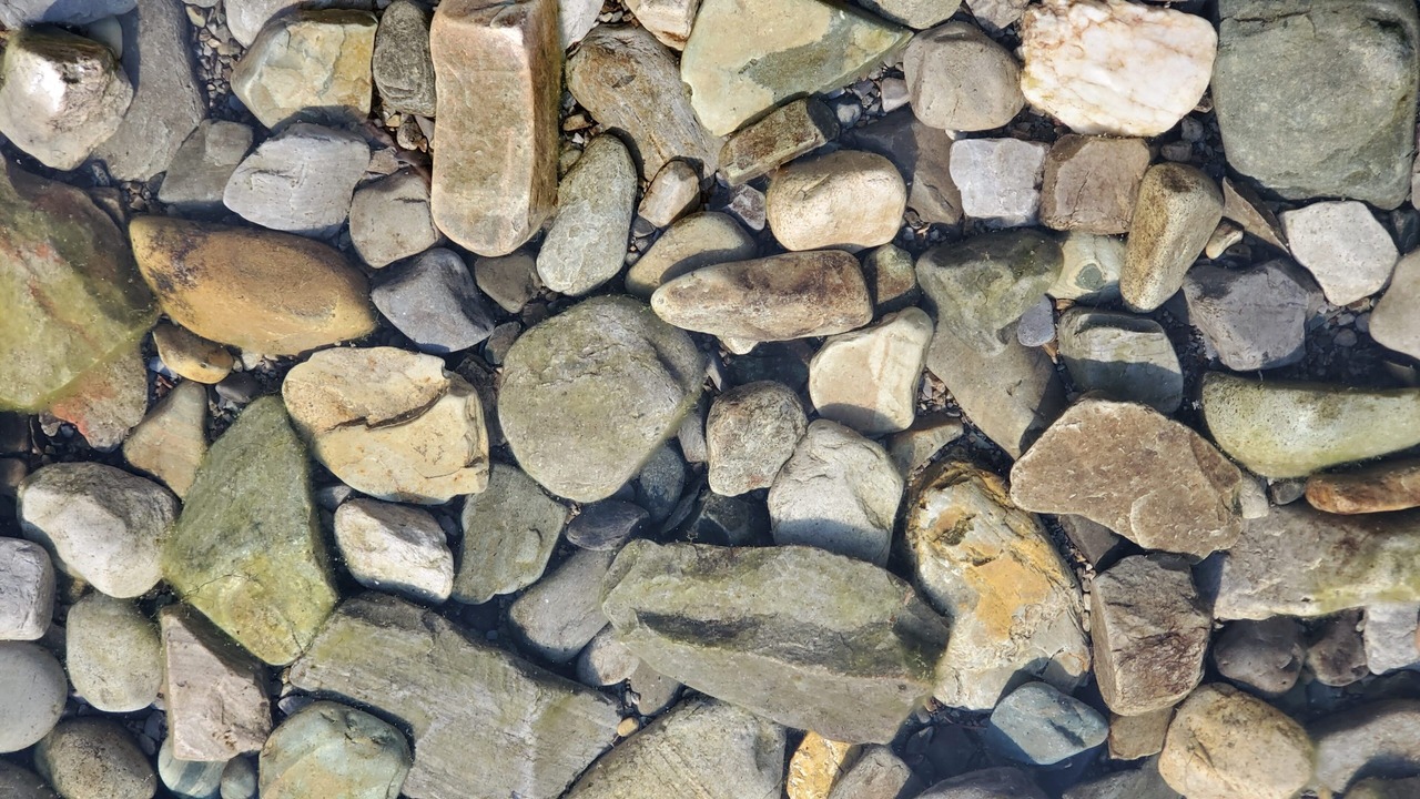 Photo of Outdoor in Marion