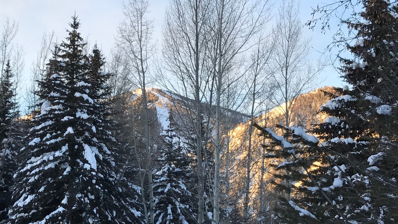 Photo of Bedroom in Ketchum