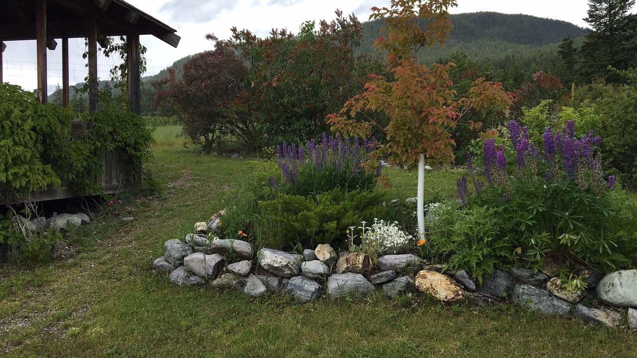 Photo of Outdoor in Polson