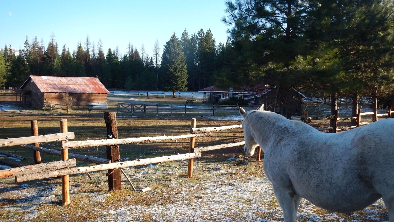 Photo of Others in Trout Creek