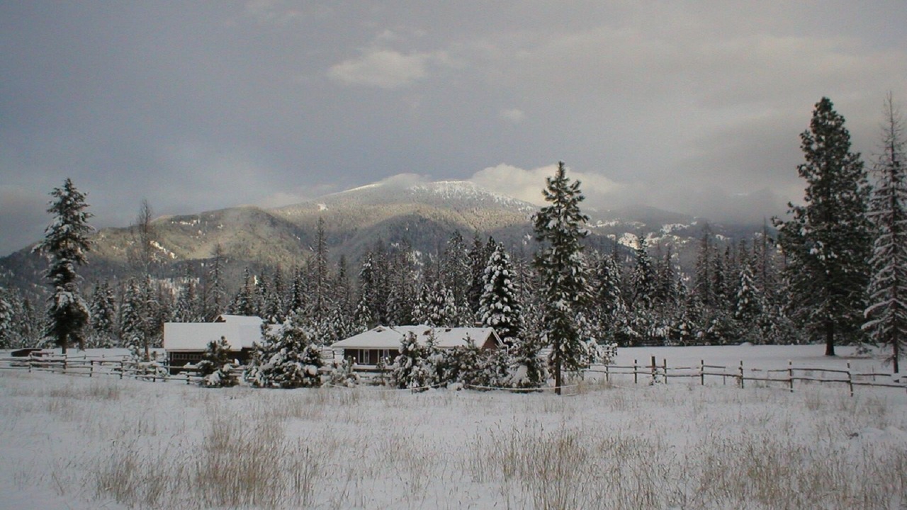 Photo of Others in Trout Creek