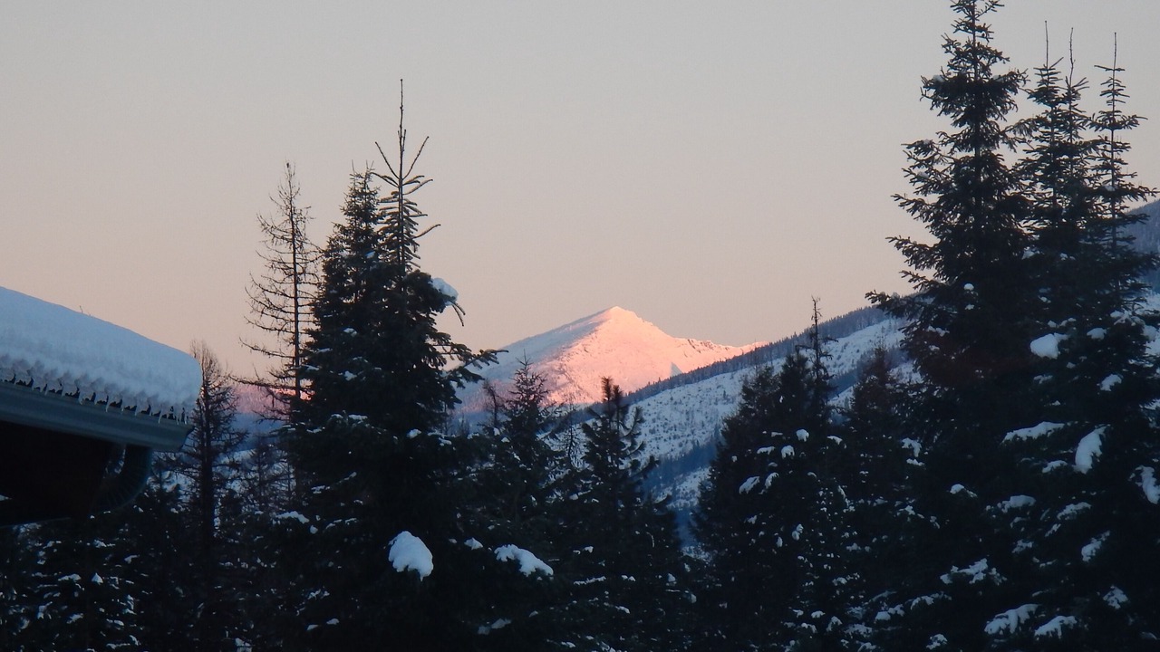 Photo of Others in Trout Creek